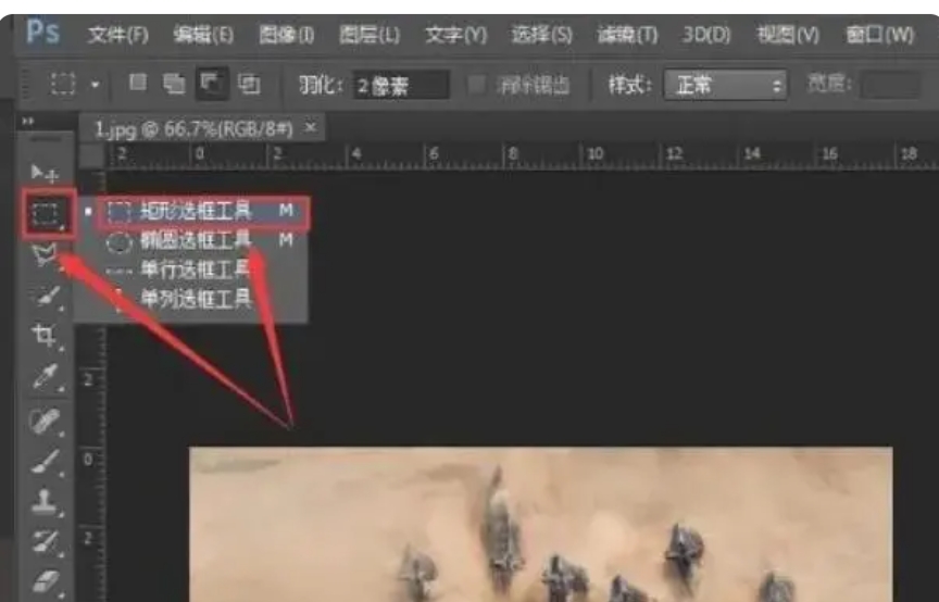 6.png